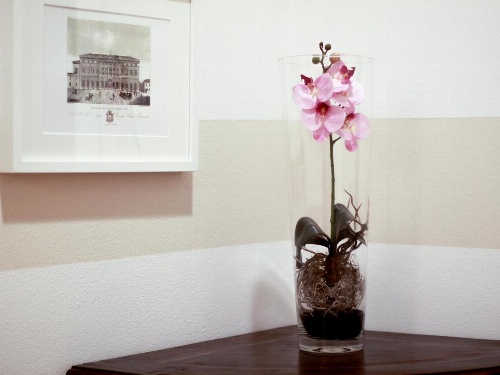 Casa Isolani, Piazza Maggiore image 25